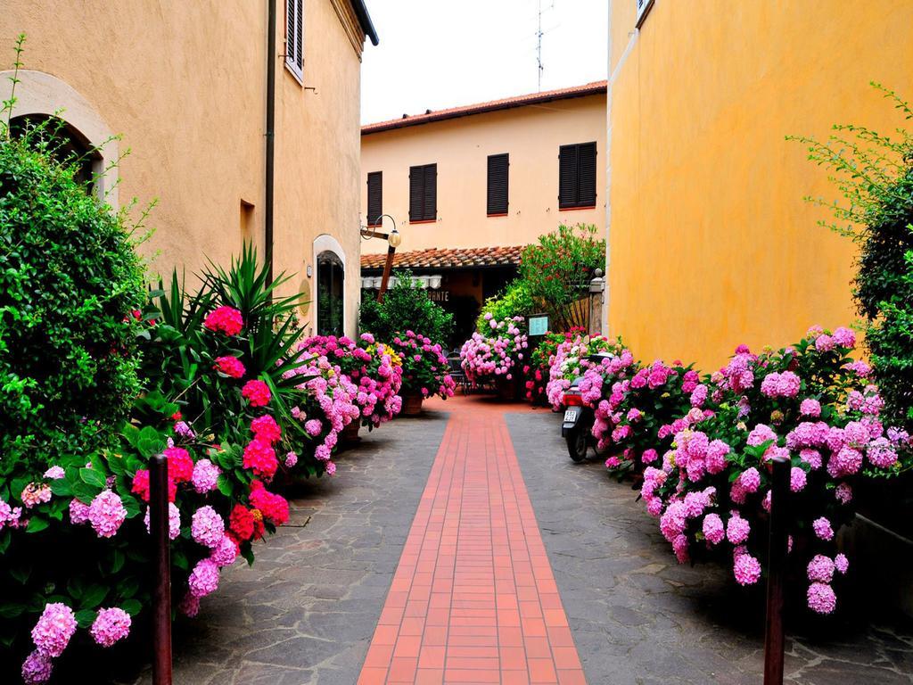 Affittacamere Dal Falco Pienza Ngoại thất bức ảnh